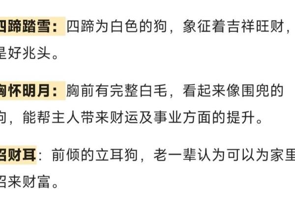 狗眼透灵光，面相识忠诚——揭秘狗狗的神秘面相