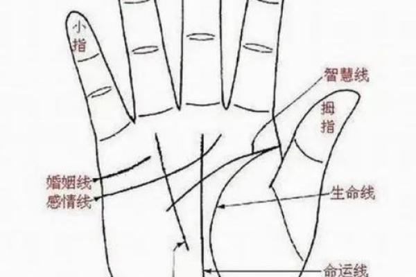 手相揭秘：驿马好坏，你的运势风向标