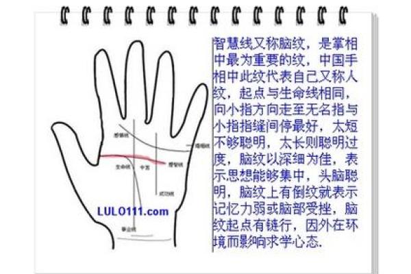 手相揭秘：驿马好坏，你的运势风向标
