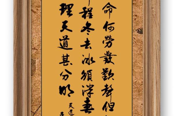 从天道命理看未来趋势，洞察人生走向