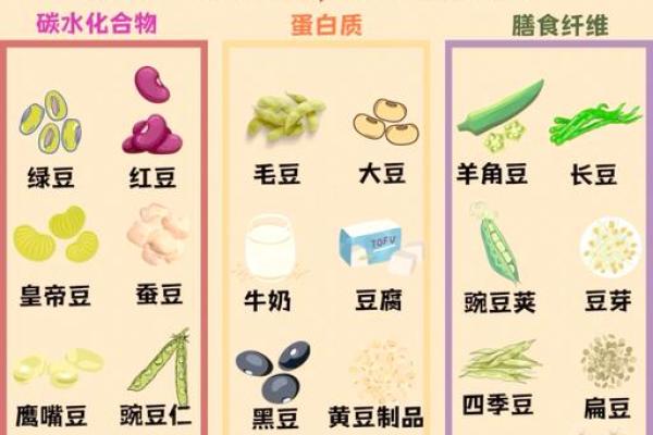 如何为豆类起个独特的名字，轻松吸引眼球