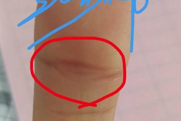 手相揭秘：凤眼之谜，财运亨通的秘密符号