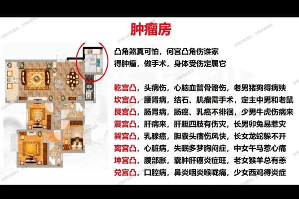 揭秘风水余气：家居布局的神秘力量，助你运势翻倍