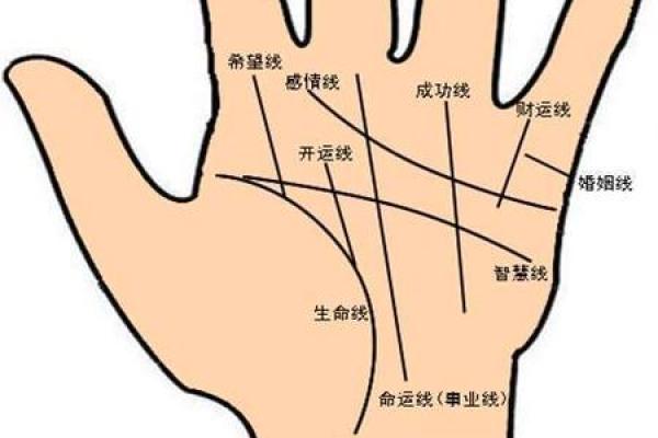 揭秘手相九个斗的神秘力量，助你运势大逆袭