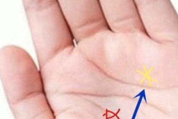 豆型大拇指揭秘：手相中的财富与运势象征