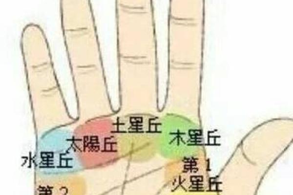 豆型大拇指揭秘：手相中的财富与运势象征