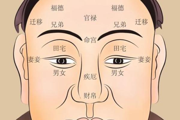 面相揭秘：识人高手必备的面相技巧
