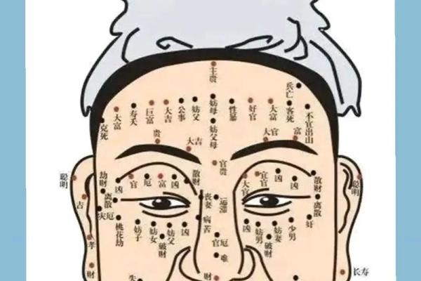 揭秘面相奥秘：耳朵形状透露惊人命运，你了解多少？