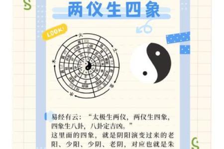 栖字五行解读：揭秘其背后的秘密