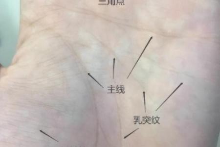 手相斗命运之谜，解锁人生秘密