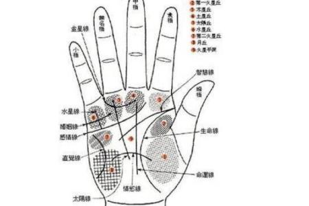 一掌定终身：揭秘手相中的寿命秘密