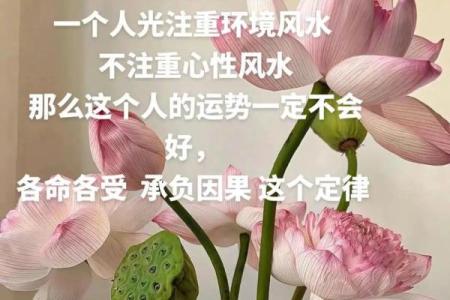揭秘2017李居明风水视频：家居布局风水秘籍，让你的家运势翻倍