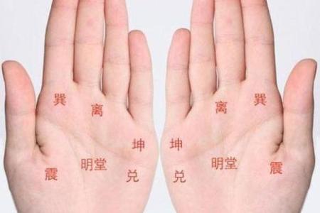 左手手相揭秘：后半生运势大揭秘