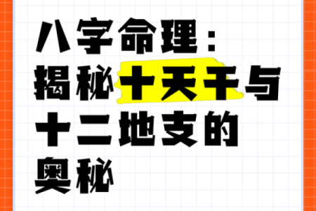 五行命里，我是水之灵——探寻你的命理奥秘
