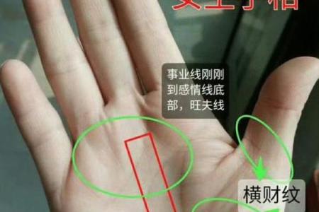 揭秘女性富贵手相：一眼辨出财运亨通的秘密