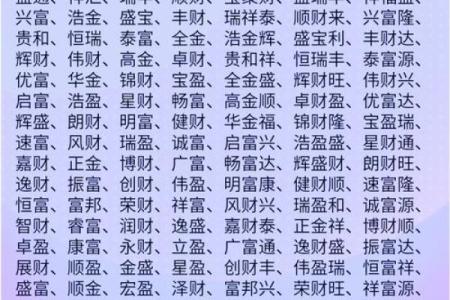 数理查询助力公司起名，激活企业潜力