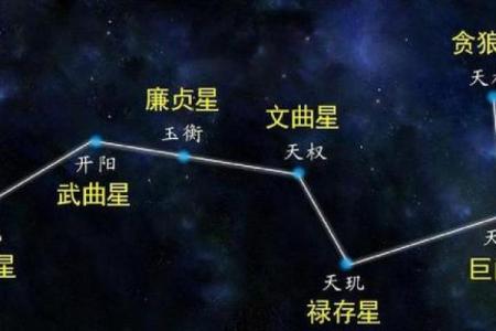 命带紫微星，财运亨通，福泽深厚