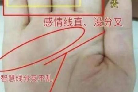 手相揭秘：看准这些特征，你的婚姻大事就在眼前