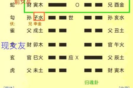 轻松掌握六爻排盘分析软件，预测未来从未如此简单