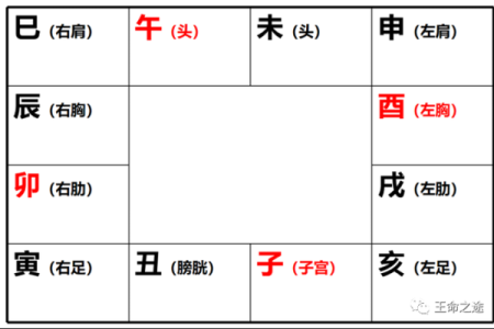 南属什么五行属性？你可能不知道的秘密揭晓