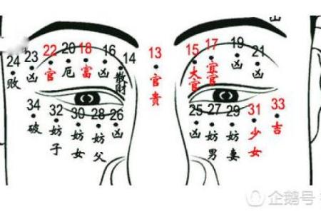 下巴有痣的面相解析：财运亨通，事业有成？揭秘痣相秘密