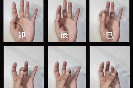 探秘坐支天干地支的奥秘，揭秘古老命理学