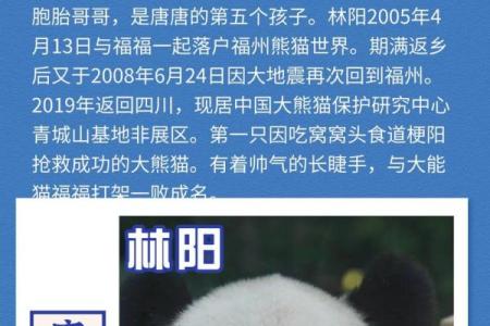 你知道熊猫五行属什么吗？快来了解一下