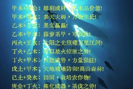 惜五行属于什么？解密五行背后的神秘力量