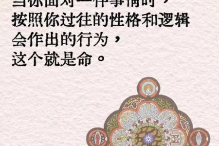 如何利用土龙命理颜色，改变你的命运
