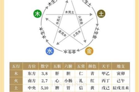 轻松掌握五行算命技巧，提升你的运势和健康