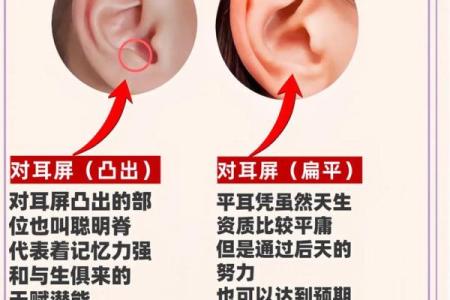耳朵破裂揭示的秘密：揭秘面相中的财运与健康信号