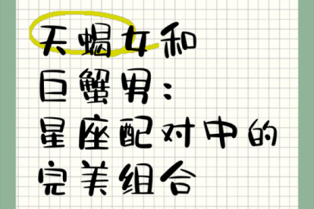 天平与巨蟹：完美融合的星座配对揭秘