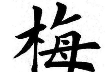 梅字五行分析：你知道吗？