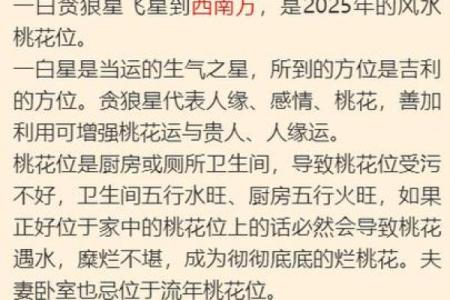 丁巳年五行属性揭秘，了解你的命运密码