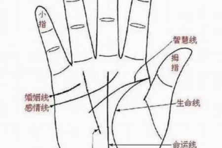 手相揭秘：驿马好坏，你的运势风向标