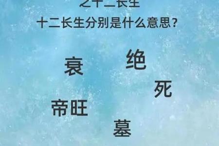 深入解析天干四柱：你不知道的命运密码