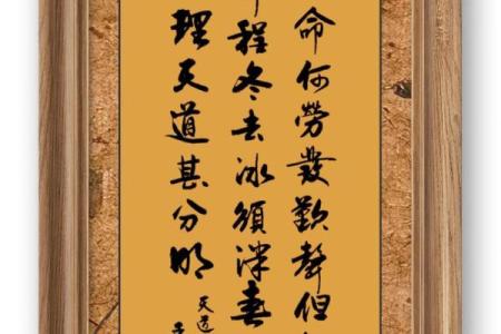 从天道命理看未来趋势，洞察人生走向
