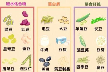 如何为豆类起个独特的名字，轻松吸引眼球