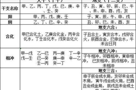 今日五行天干地支，运势起伏全掌握
