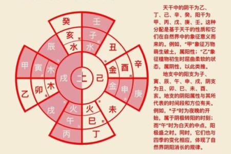 卯时五行背后的玄机：掌握时辰与五行的关系