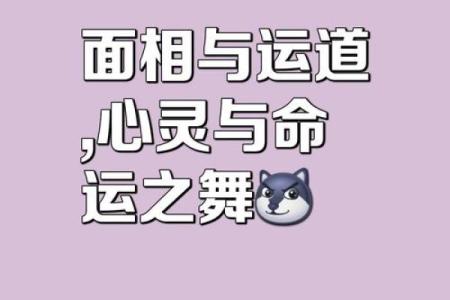 紫薇命理练功馆，让你的每一步都走得更加顺利
