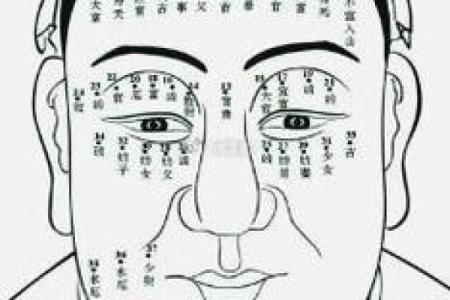 面相揭秘：八字中隐藏的财运密码