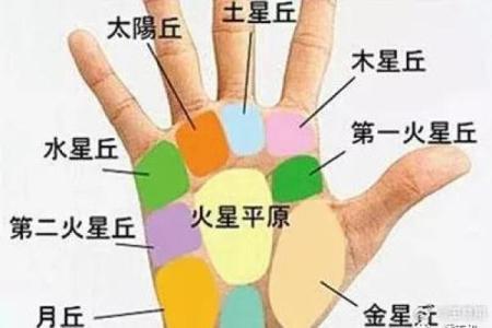 揭秘手相九个斗的神秘力量，助你运势大逆袭