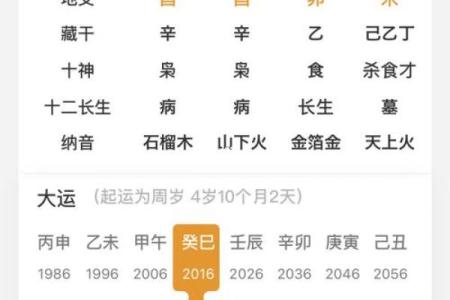 八字算命入门教程，教你轻松看透命运