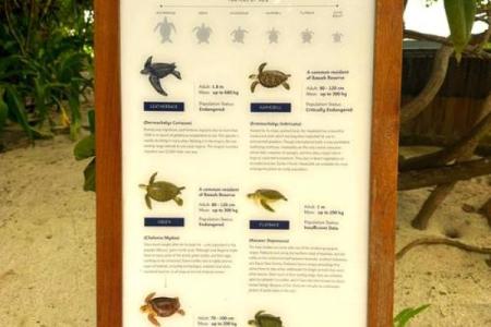 如何为海洋生物公司起个让人印象深刻的名字