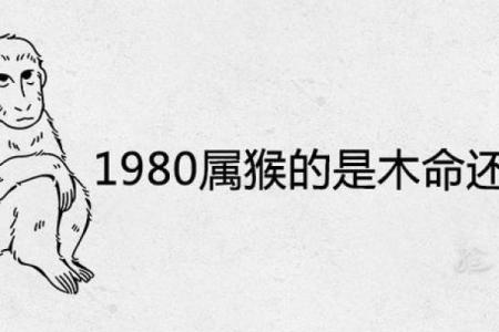 猴是金命，与谁携手共度富贵人生？
