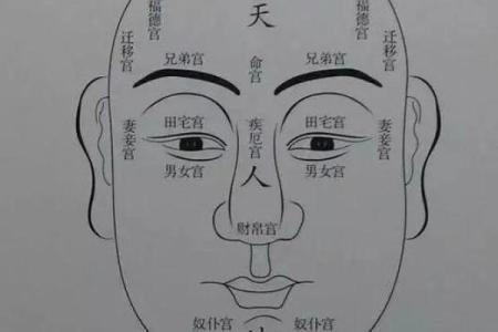 面相揭秘：识人高手必备的面相技巧