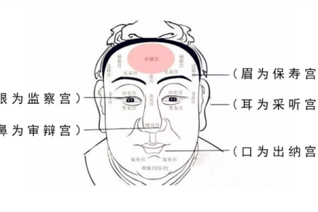 男士麻衣面相揭秘：揭秘面相中的财富密码