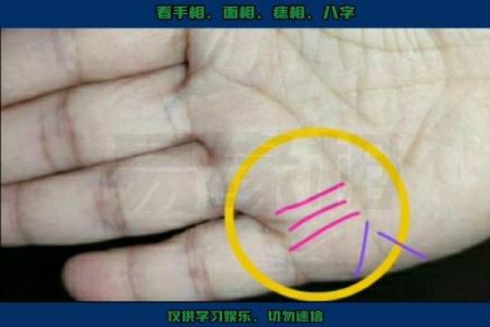 揭秘大拇指下竖纹手相的秘密：财运亨通、事业有成