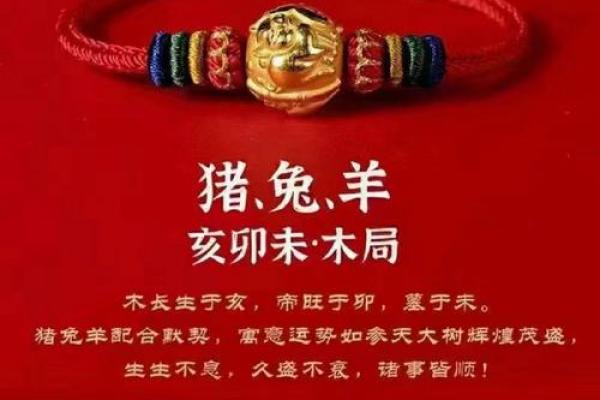 属兔的人五行是什么？深度解读你的命理